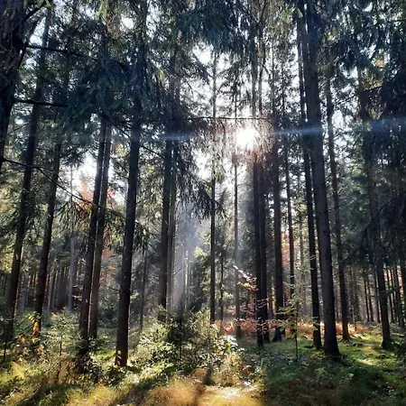 Waldtherme Relaxen, Wandern, Radfahren Daire