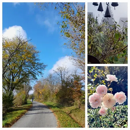 Waldtherme Relaxen, Wandern, Radfahren * Waldbrunn (Baden-Wurttemberg)
