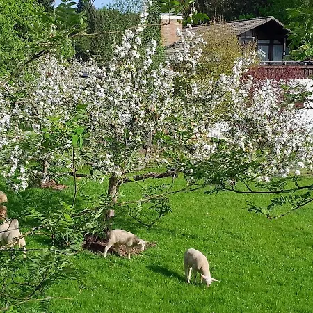 Waldtherme Relaxen, Wandern, Radfahren Waldbrunn (Baden-Wurttemberg)
