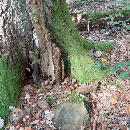 Waldtherme Relaxen, Wandern, Radfahren