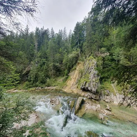 Daire Waldtherme Relaxen, Wandern, Radfahren Waldbrunn (Baden-Wurttemberg)