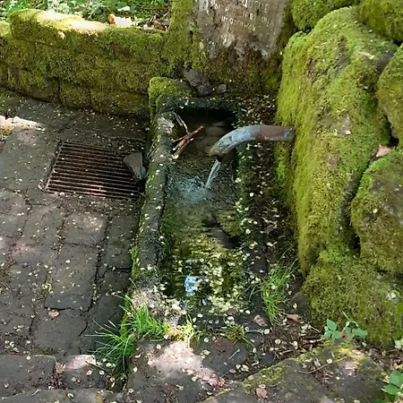 Daire Waldtherme Relaxen, Wandern, Radfahren Waldbrunn (Baden-Wurttemberg)