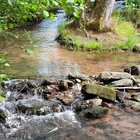 Waldtherme Relaxen, Wandern, Radfahren Daire *
