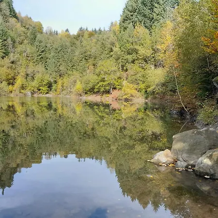 Daire Waldtherme Relaxen, Wandern, Radfahren