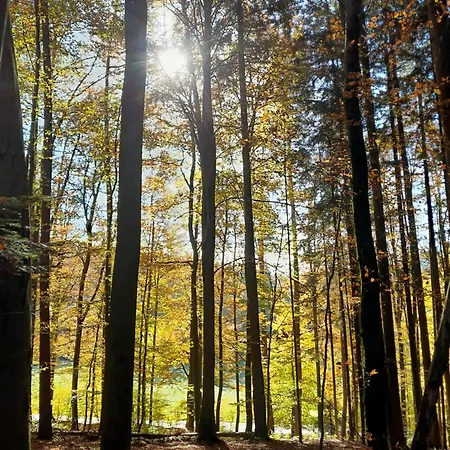 Waldtherme Relaxen, Wandern, Radfahren * Waldbrunn (Baden-Wurttemberg)