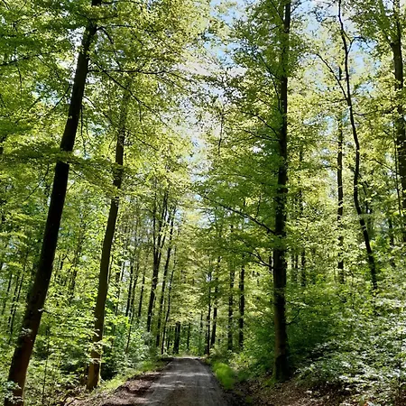Daire Waldtherme Relaxen, Wandern, Radfahren Waldbrunn (Baden-Wurttemberg)