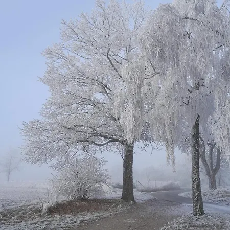 Daire Waldtherme Relaxen, Wandern, Radfahren