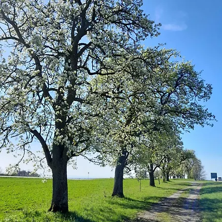 Daire Waldtherme Relaxen, Wandern, Radfahren