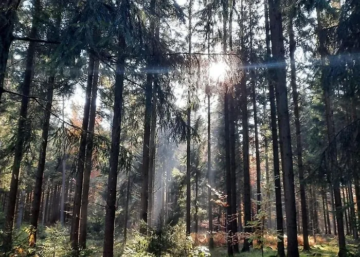 Waldtherme Relaxen, Wandern, Radfahren Apartamento