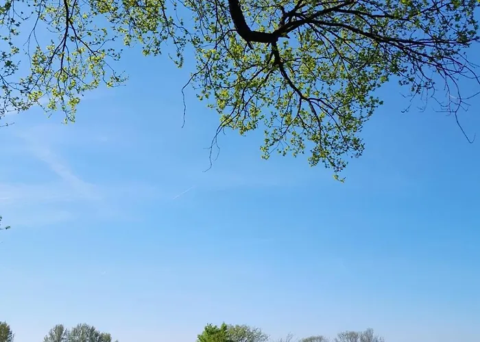 Waldtherme Relaxen, Wandern, Radfahren Waldbrunn (Baden-Wurttemberg)
