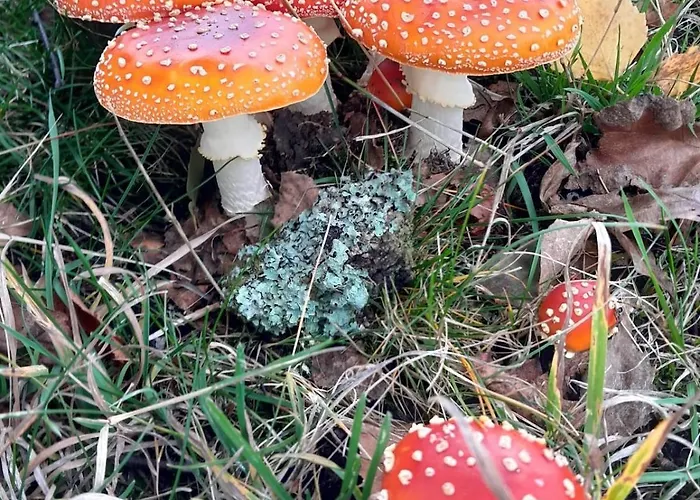 Waldtherme Relaxen, Wandern, Radfahren Waldbrunn (Baden-Wurttemberg)