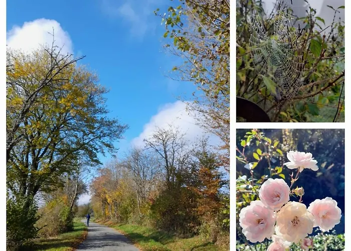 Waldtherme Relaxen, Wandern, Radfahren * Waldbrunn (Baden-Wurttemberg)
