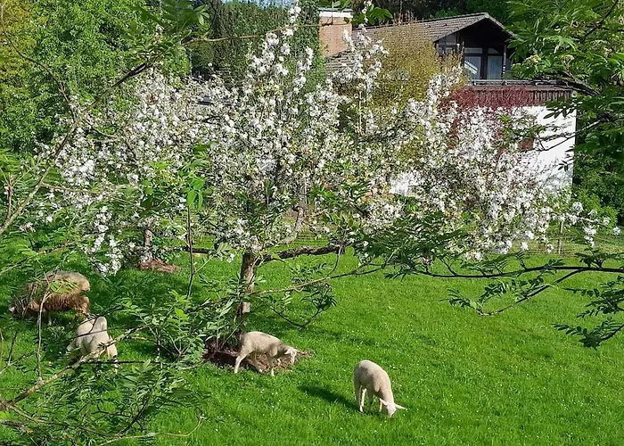 Waldtherme Relaxen, Wandern, Radfahren Waldbrunn (Baden-Wurttemberg)