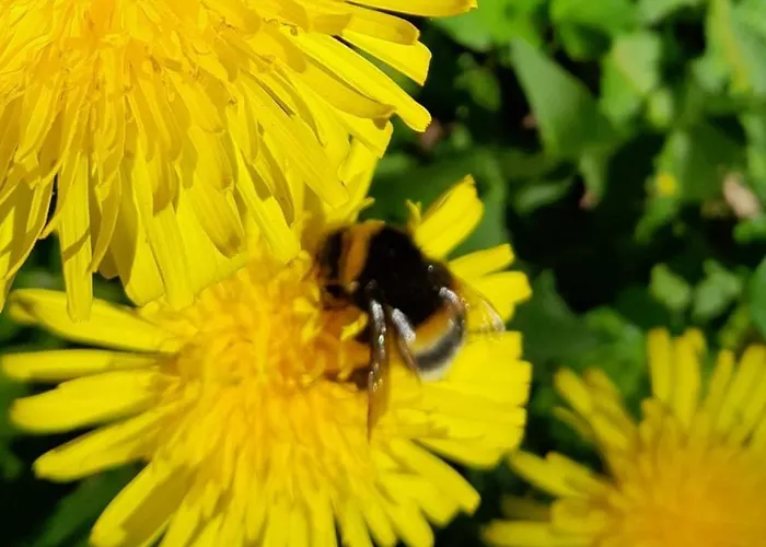 Waldtherme Relaxen, Wandern, Radfahren Apartamento