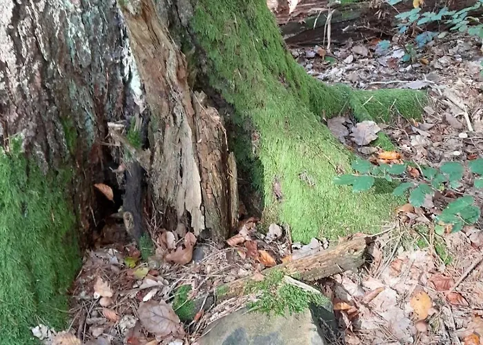 Waldtherme Relaxen, Wandern, Radfahren