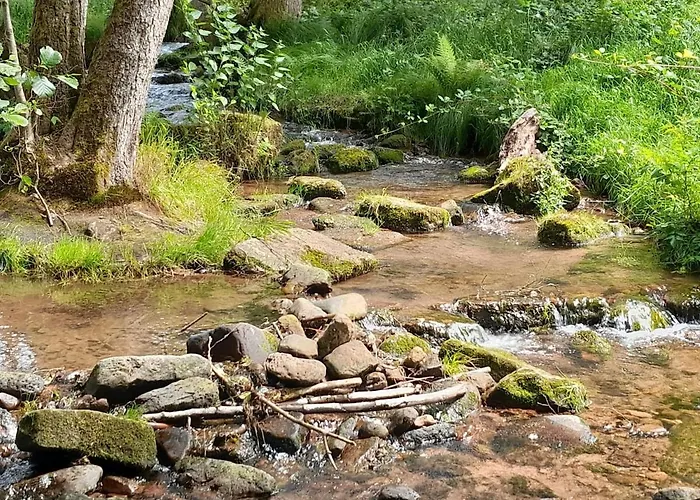 Waldtherme Relaxen, Wandern, Radfahren Apartamento Waldbrunn (Baden-Wurttemberg)
