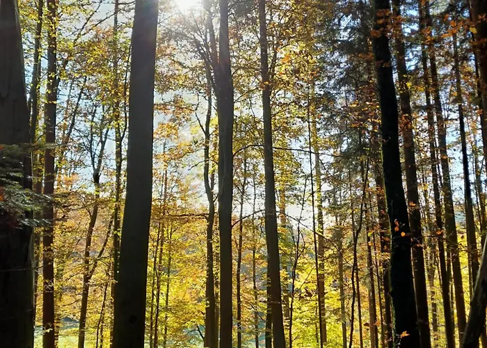 Waldtherme Relaxen, Wandern, Radfahren * Waldbrunn (Baden-Wurttemberg)