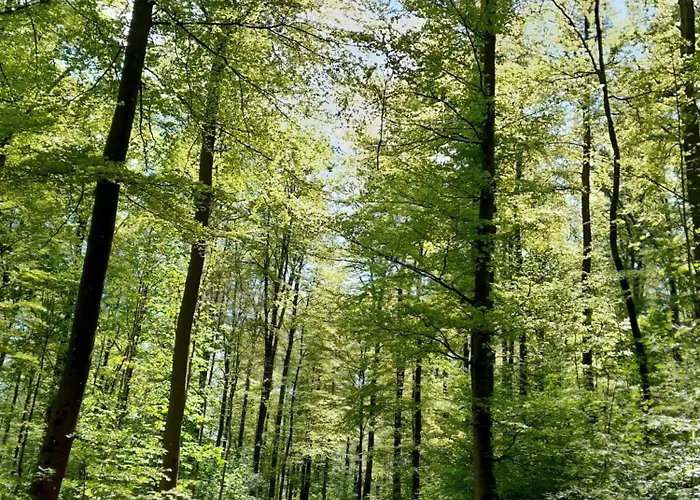 Apartamento Waldtherme Relaxen, Wandern, Radfahren Waldbrunn (Baden-Wurttemberg)