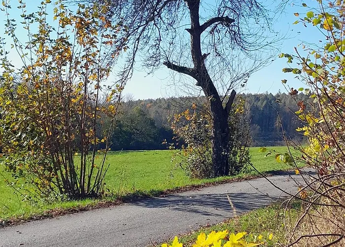 Waldtherme Relaxen, Wandern, Radfahren * Waldbrunn (Baden-Wurttemberg)