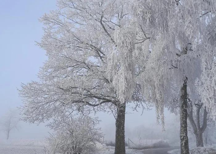 Apartamento Waldtherme Relaxen, Wandern, Radfahren