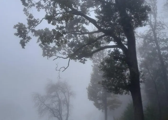 Apartamento Waldtherme Relaxen, Wandern, Radfahren Waldbrunn (Baden-Wurttemberg)